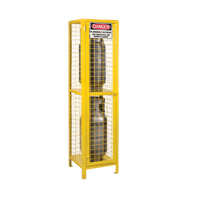 Gas Cylinder Cabinets, 2 Cylinder Capacity, 17" W x 17" D x 69" H, Yellow The Estey Group