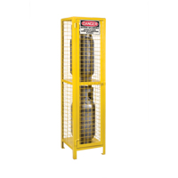 Gas Cylinder Cabinets, 2 Cylinder Capacity, 17" W x 17" D x 69" H, Yellow The Estey Group