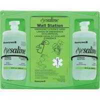 Saline Eyewash Wall Station, Double The Estey Group