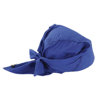 Chill-Its&reg; 6710 Cooling Triangle Hats, Blue The Estey Group