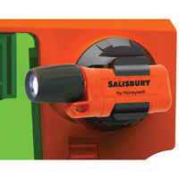 Lampes amovibles pour visi&egrave;res qui r&eacute;sistent aux flammes Salisbury The Estey Group