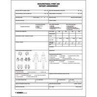 Patient Assessment Chart The Estey Group