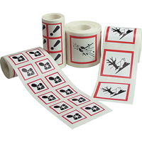 GHS Pictogram Labels, Paper, Roll, 2" L x 2" W The Estey Group