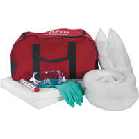 Vehicle Spill Kit, Oil Only, Bag, 10 US gal. Absorbancy The Estey Group