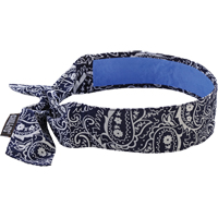 Chill-Its&reg; 6700CT Cooling Bandanas, Blue The Estey Group