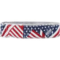 Chill-Its 6605 Cooling Headbands, Multi-Colour The Estey Group