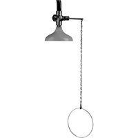 Lifesaver&reg; Emergency Overhead Showers, Ceiling-Mount The Estey Group