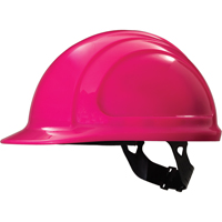 North Zone Hardhat, Meets CSA Type 1, Pinlock Suspension, Non-Vented The Estey Group