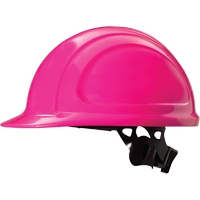 North Zone Hardhat, Meets CSA Type 1, Ratchet Suspension, Non-Vented The Estey Group