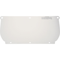 Visi&egrave;re, Polycarbonate, Teinte Transparent The Estey Group