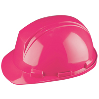 Casque Mont-Blanc de North, R&eacute;pond aux normes CSA type 2, Suspension Rochet, Non ventil&eacute; The Estey Group
