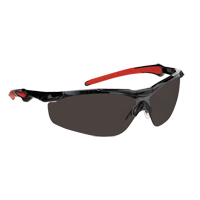 Dynamic Hawk Series Safety Glasses, Smoke Lens, Anti-Fog, ANSI Z87+/Meets/Exceeds CSA Z94.3 The Estey Group