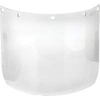 Visi&egrave;re pour &eacute;cran facial Dynamic, PETG, Teinte Transparent The Estey Group