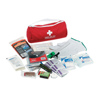 Trousse de premiers soins pour auto Dynamic, Dispositif m&eacute;dical Classe 1, Sac en nylon The Estey Group