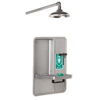 Eye/Face Wash and Shower, Ceiling-Mount The Estey Group