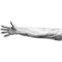 Disposable Gloves, Large, Polyethylene, 9-mil, Powdered, Clear The Estey Group