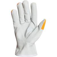 Endura&reg; Driver's Gloves, Small, Grain Goatskin Palm The Estey Group