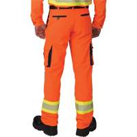 Ripstop High-Visibility Cargo Pants, Polyester, 28, High Visibility Orange The Estey Group