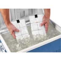 Sachets pour veste de refroidissement &agrave; changement de phase 6260 Chill-Its The Estey Group