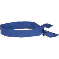 Cooling Bandana, Blue The Estey Group