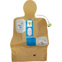 D&eacute;fibrillateur de formation sur la route AED Plus The Estey Group