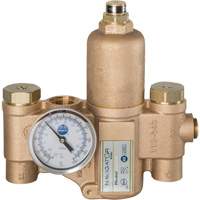 Robinet mitigeur thermostatique pour luminaires durgence Navigator EFX20, 30 gal./min The Estey Group