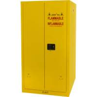 Flammable Storage Cabinet, 60 gal., 2 Door, 34" W x 65" H x 34" D The Estey Group