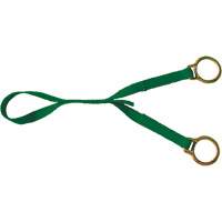 Double D Ring Extension, D-Ring, Temporary Use The Estey Group