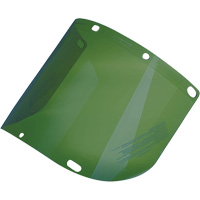 &eacute;cran facial form&eacute; Dynamic, Polycarbonate, Teinte Vert The Estey Group