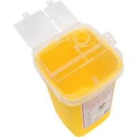 Sharps Container, 1 L Capacity The Estey Group