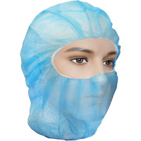 Care Balaclavas, Polypropylene, Blue The Estey Group