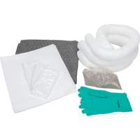 Trousse d'&eacute;quipement de lutte contre les d&eacute;versements, Huile seulement/Universel, Sac, Absorbance de 10 gal. US The Estey Group