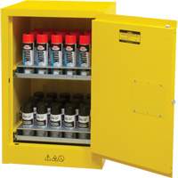 Armoire de rangement pour a&eacute;rosols inflammables, 12 gal., 1 Porte(s), 23" La x 35" h x 18" p The Estey Group