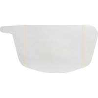 Primair&reg; 900 Series Peel-Off Visor Cover The Estey Group