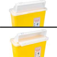 Sharps Container, 4.6L Capacity The Estey Group