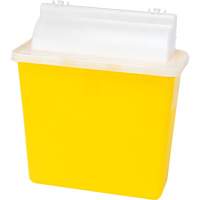 Sharps Container, 4.6L Capacity The Estey Group