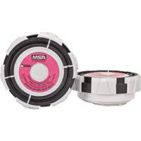 Cartridge with Splash Guard, Particulate Filter, P100 Filter The Estey Group