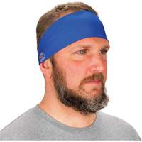 Chill-Its 6634 Cooling Headband, Blue The Estey Group