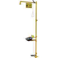 Poste de douche oculaire & douche de s&eacute;curit&eacute; Halo The Estey Group