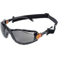 XPS502 Sealed Safety Glasses, Smoke Lens, Anti-Fog/Anti-Scratch The Estey Group