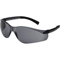 X300 Safety Glasses, Smoke Lens, Anti-Scratch, ANSI Z87+/Meets/Exceeds CSA Z94.3 The Estey Group
