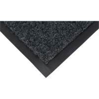 Tapis de vestibule