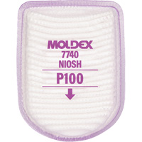 Semi-Rectangular Respirator Filter, Particulate Filter, P100 Filter The Estey Group