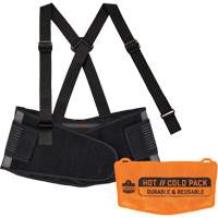 Support dorsal Proflex 1675 avec sachet refroidissant/chauffant, Spandex, T-petit The Estey Group