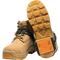 Crampons cibl&eacute;s pour traction sur glace The Estey Group