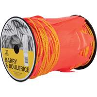 Warning Line with Flags, 328' L, Orange The Estey Group