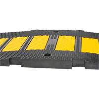 Dos d'&acirc;ne central, Caoutchouc, 2' lo x 8" la x 1-1/4" h The Estey Group