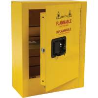 Armoire de s&eacute;curit&eacute; miniature pour produits inflammables, 2 gal., 1 Porte(s), 17" La x 22" h x 8" p The Estey Group