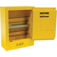 Armoire de s&eacute;curit&eacute; miniature pour produits inflammables, 2 gal., 1 Porte(s), 17" La x 22" h x 8" p The Estey Group