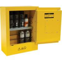 Armoire de s&eacute;curit&eacute; miniature pour produits inflammables, 2 gal., 1 Porte(s), 17" La x 22" h x 8" p The Estey Group